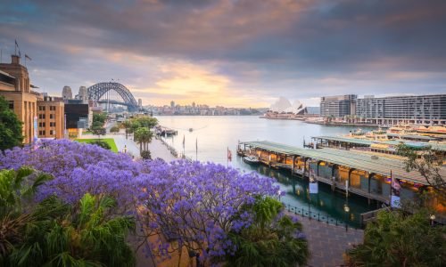 Sydney Landmark with Jacaranda Tree.